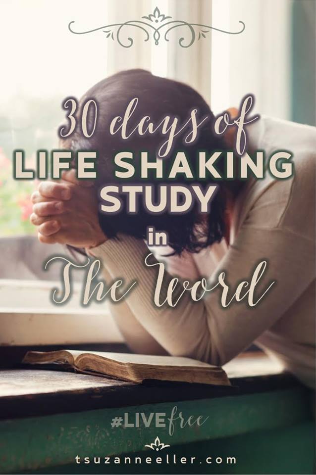 Suzanne Eller's 30 days of Life Shaking Study 