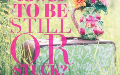 To be still or stuck, that is the question!