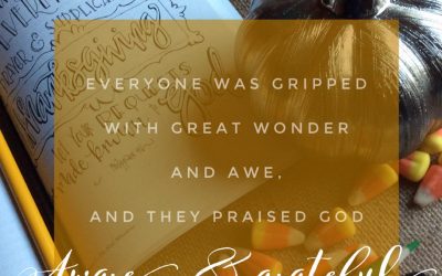 Aware & Grateful, filled with everyday thanksgiving